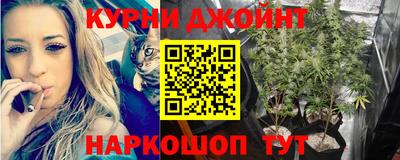 мяу мяу мука Гусиноозёрск