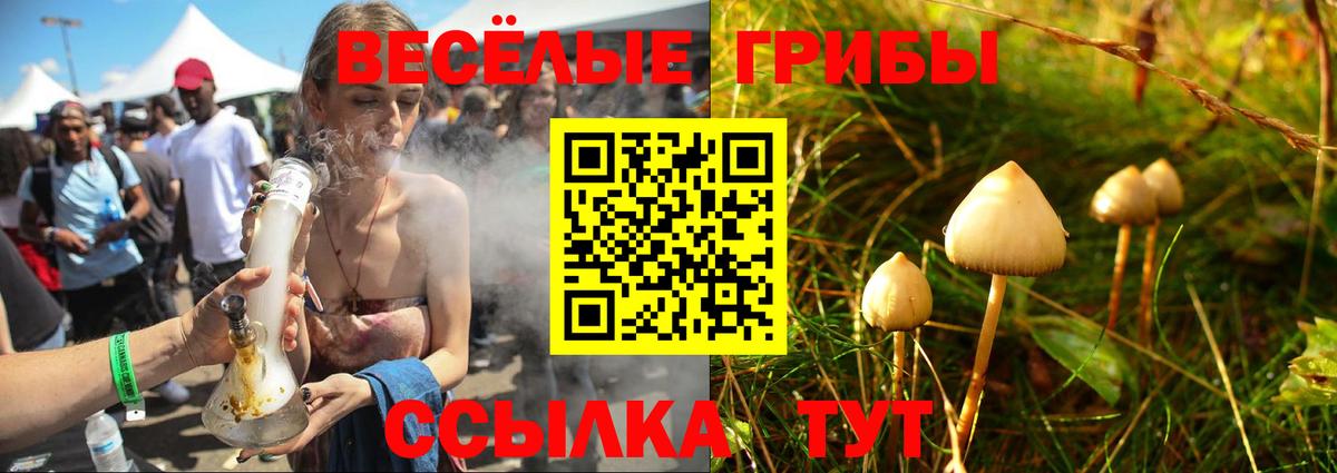 Псилоцибиновые грибы Psilocybine cubensis  как найти наркотики  Менделеевск  Вход с VPN 