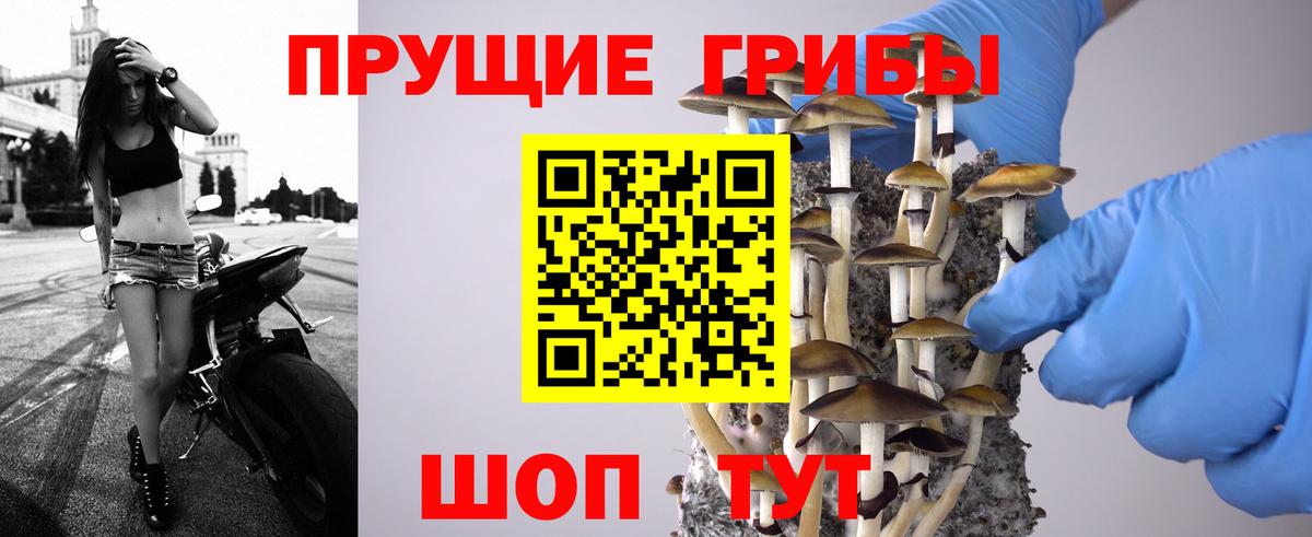Галлюциногенные грибы мухоморы Менделеевск