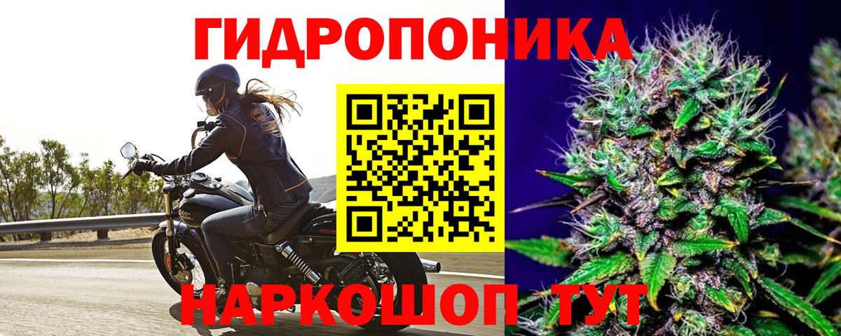 Шишки марихуана конопля Менделеевск